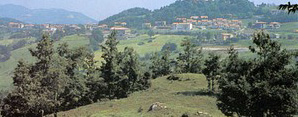Badia Tedalda