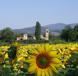 La valle di Piero