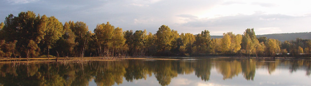 golena del tevere