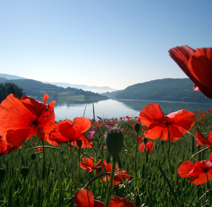 in cammino tra religione e natura