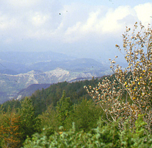Sulle Orme del lupo