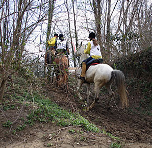con i tempi e modi del cavallo