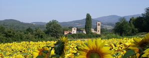 in cammino tra religione e natura