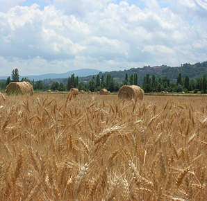 Natura e cultura in Valtiberina