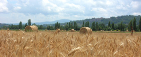 La Terra di Mezzo - Valtiberina Toscana